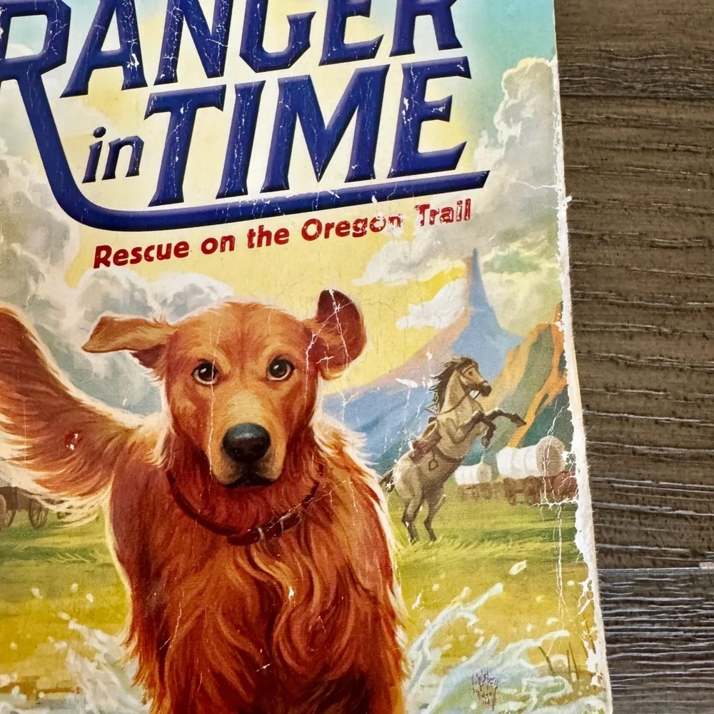 Ranger in Time Chapter Book Lot of 11 - Picture 6 of 14